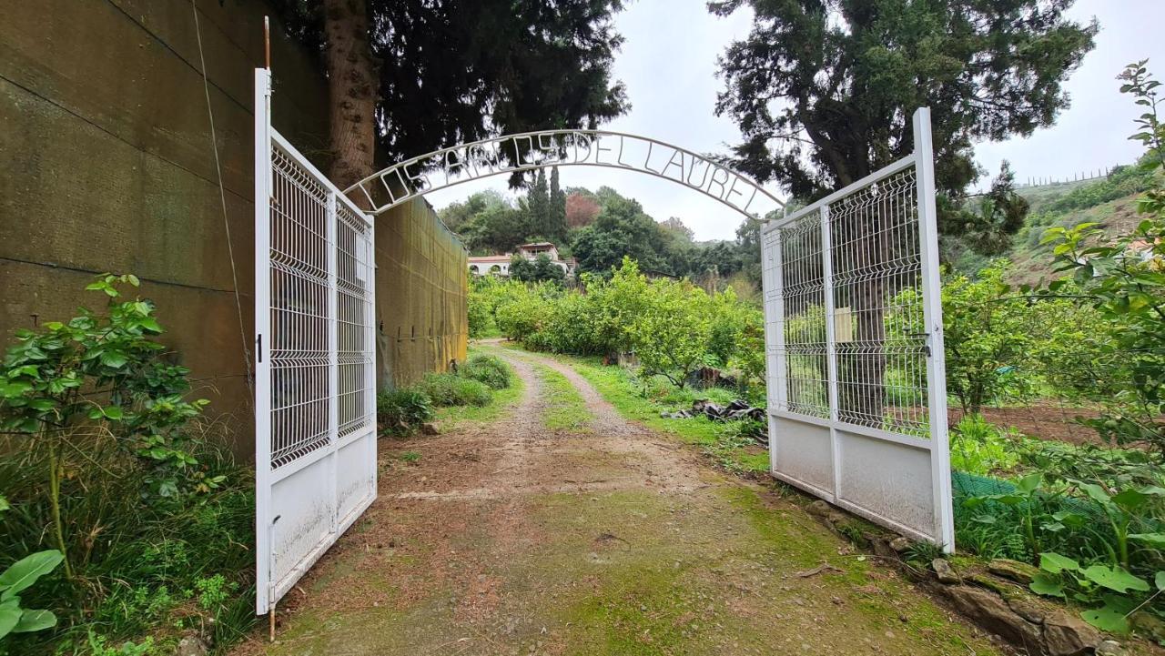 Arcos Del Laurel Apartment