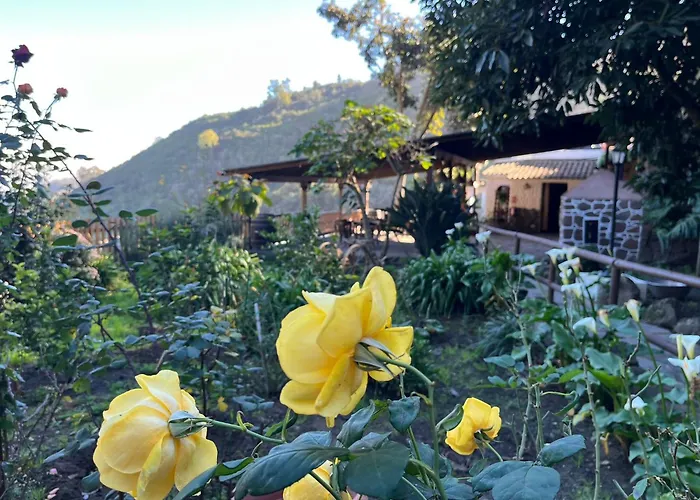 Finca Los Arcos Del Laurel