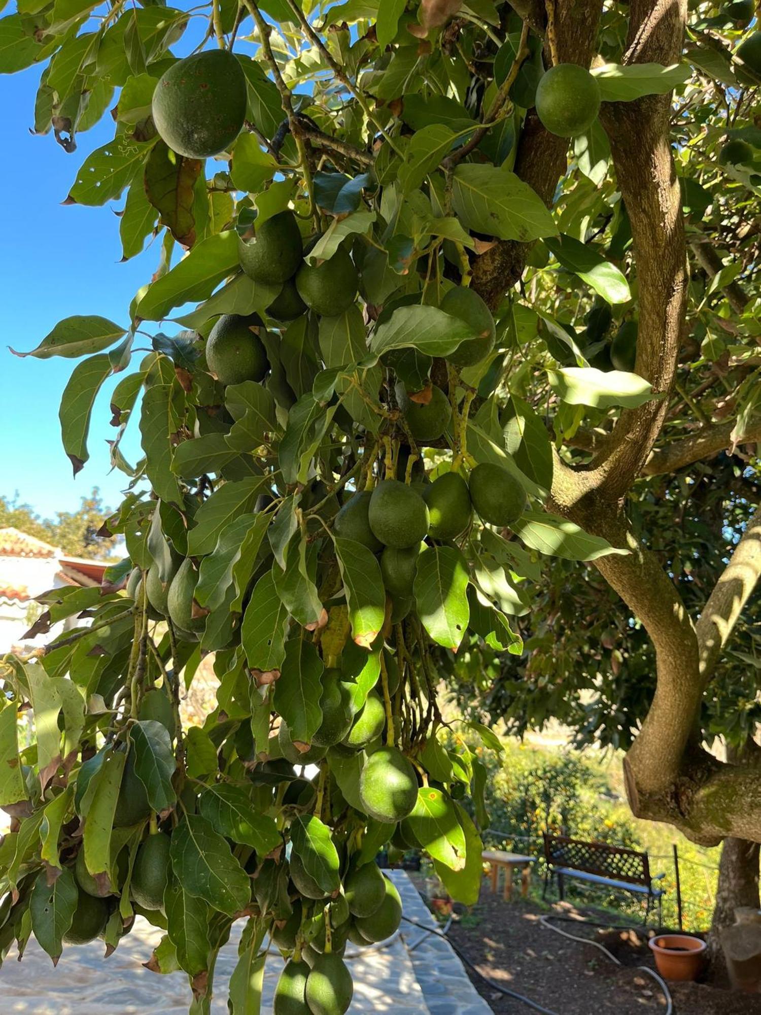 Appartamento Arcos Del Laurel *